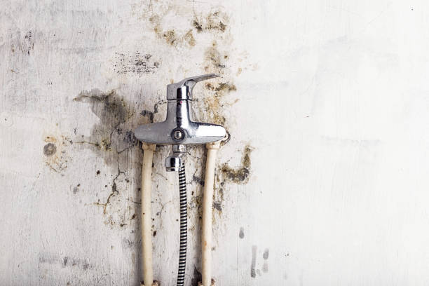 Best Mold Testing  in Bixby, OK
