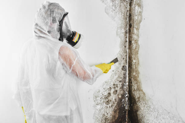 Best Mold Testing  in Bixby, OK