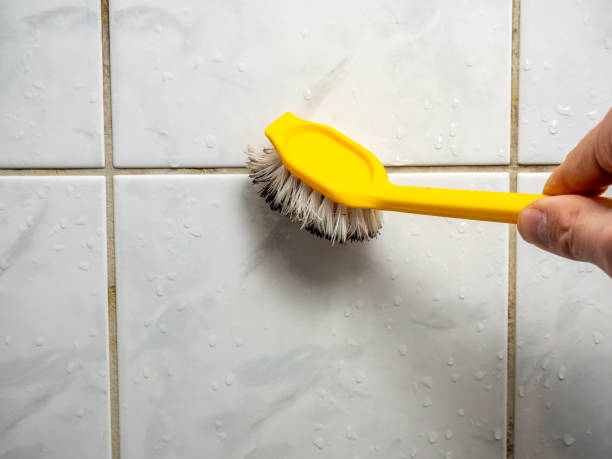 Best Mold Removal Near Me  in Bixby, OK