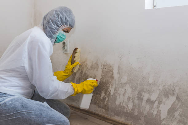 Best Local Mold Removal Service  in Bixby, OK