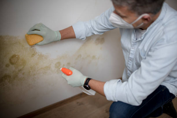Best Certified Mold Removal  in Bixby, OK