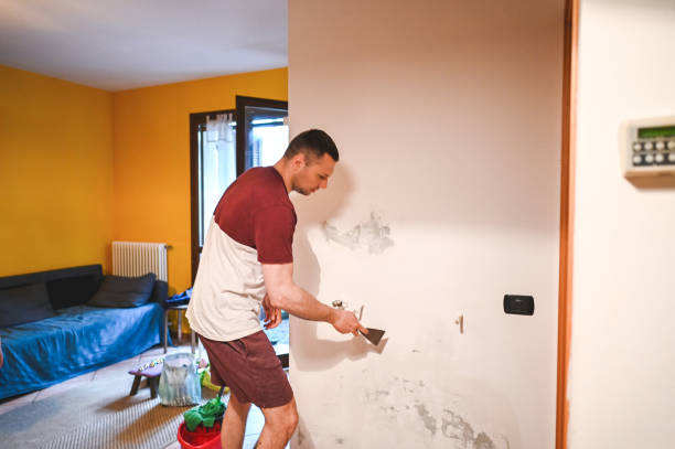 Mold Removal and Inspection in Bixby, OK