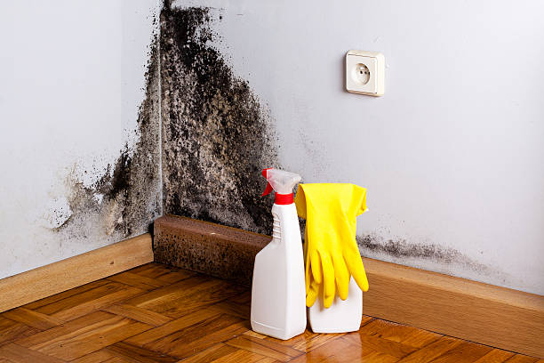 Best Mold Remediation  in Bixby, OK