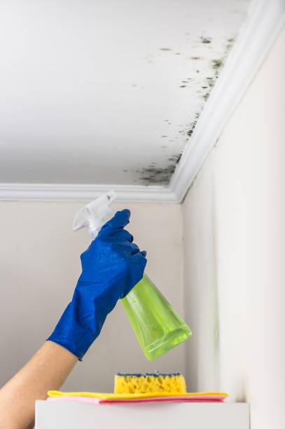 Best Attic Mold Removal  in Bixby, OK